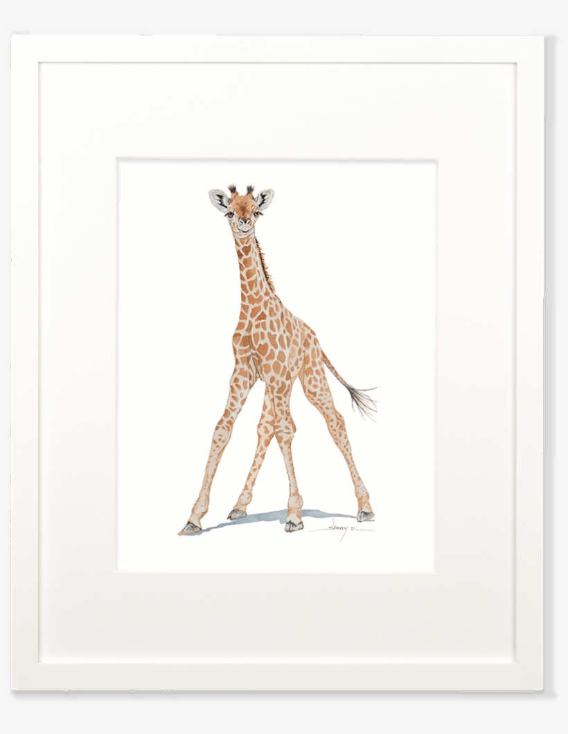 Baby Giraffe Wall Art - Giraffidae, transparent png