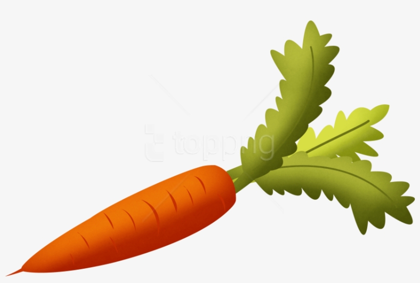 Free Png Images - Carrot Png Clipart, transparent png