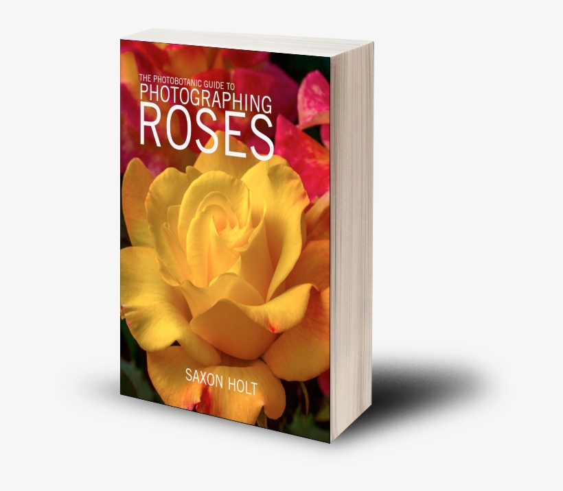 Photobotanic Guide To Photographing Roses Softcover - Hybrid Tea Rose, transparent png