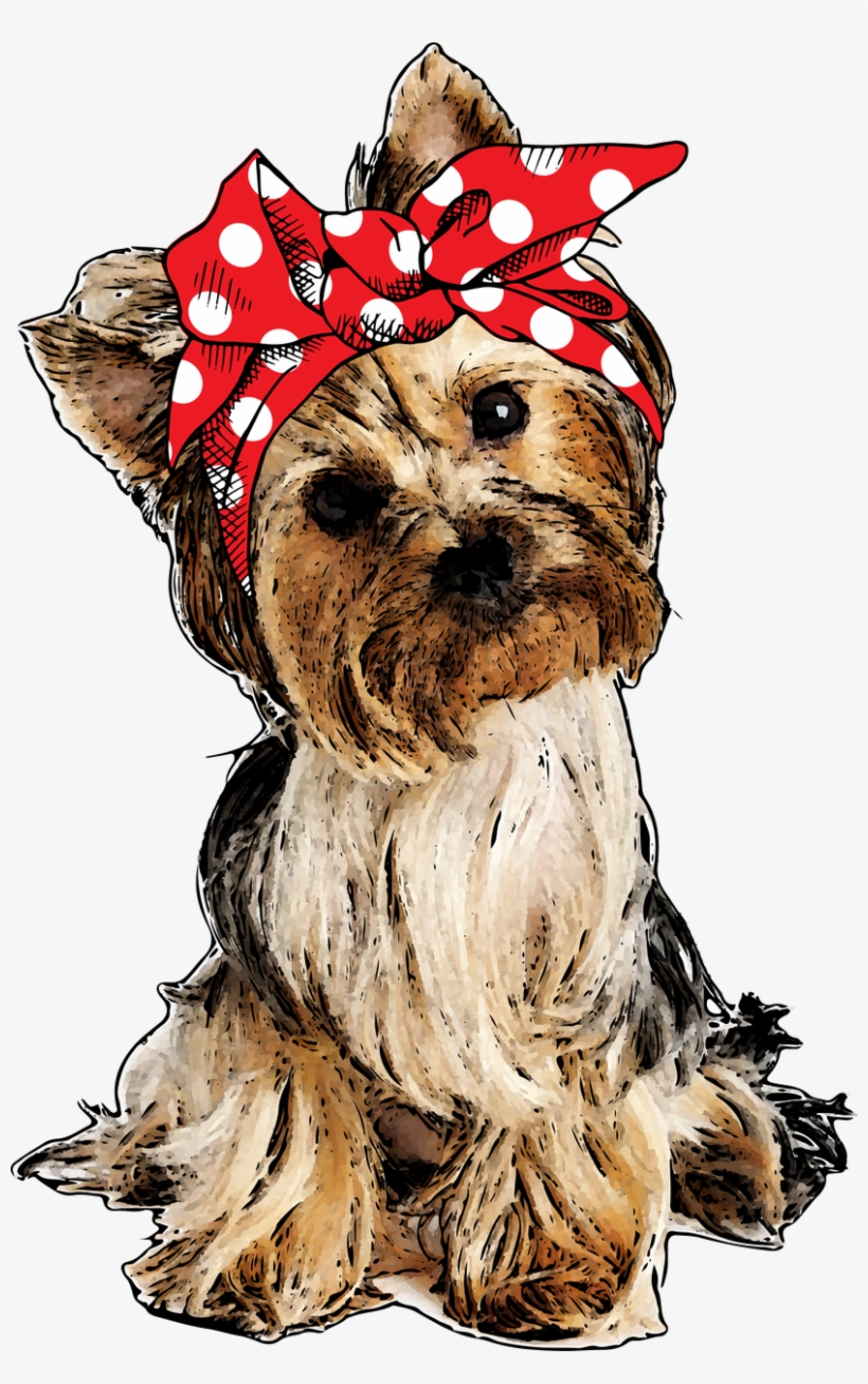 Yorkie Transfer - Собачка На Прозрачном Фоне, transparent png