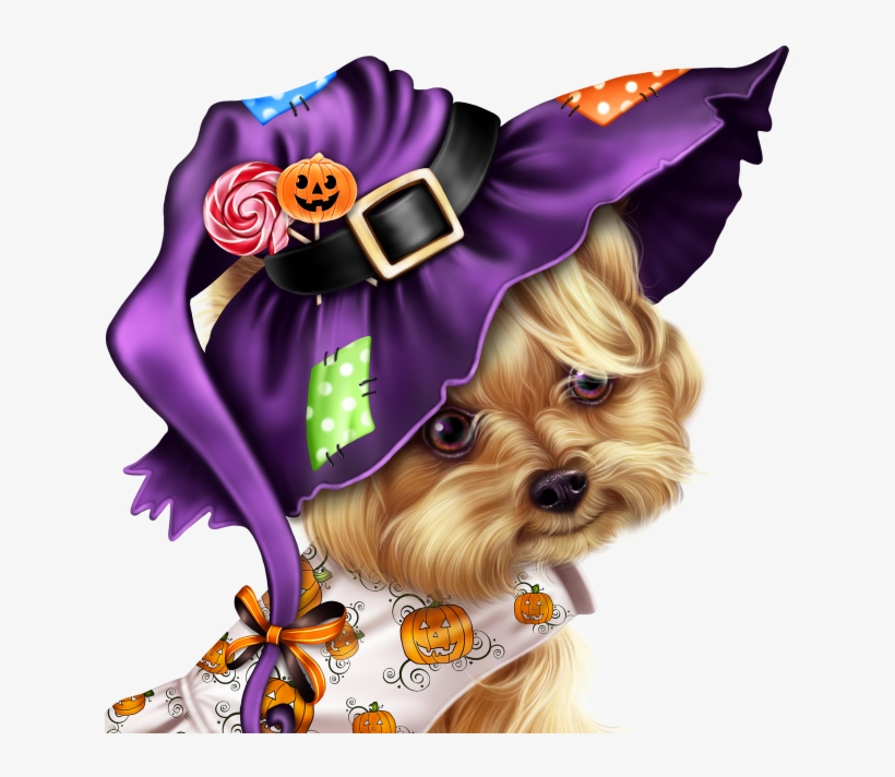 Little Pumpkin Yorkie - Yorkshire Terrier, transparent png
