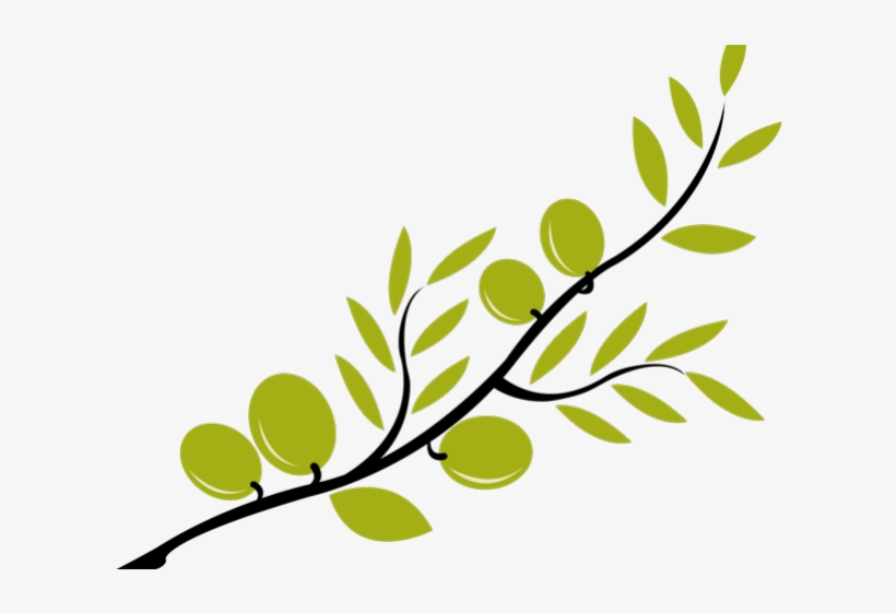 Branch Clipart Olive Branch - Olive Clipart, transparent png