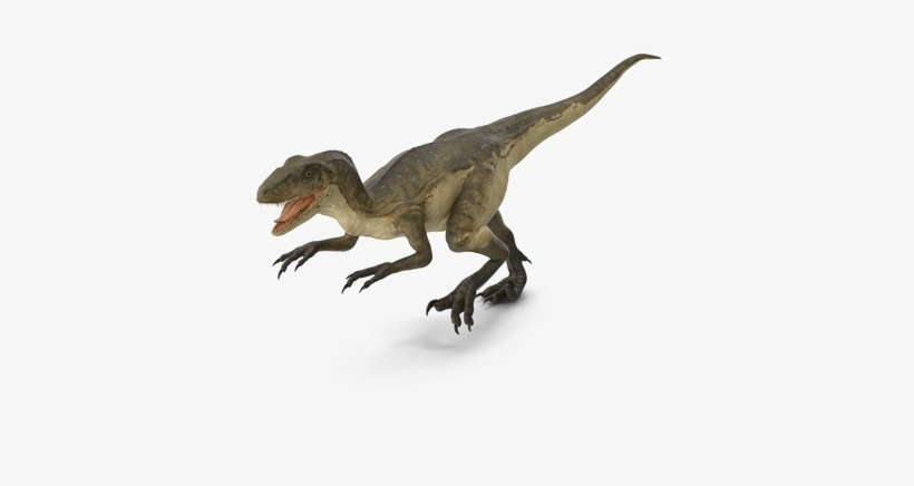 Theropod Transparent Background - Deinonychus Png Transparent, transparent png