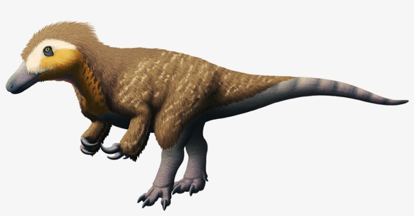 Tumblr P7zqesrzyf1s5f2yxo1 1280 - Australovenator, transparent png