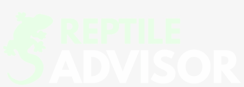 Lizards - Graphic Design, transparent png