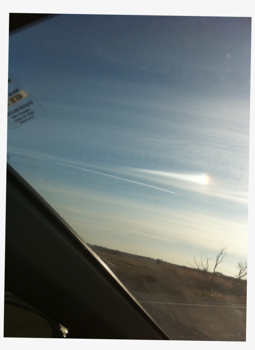 We Are A Small, Private Breeder Of Bearded Dragons, transparent png