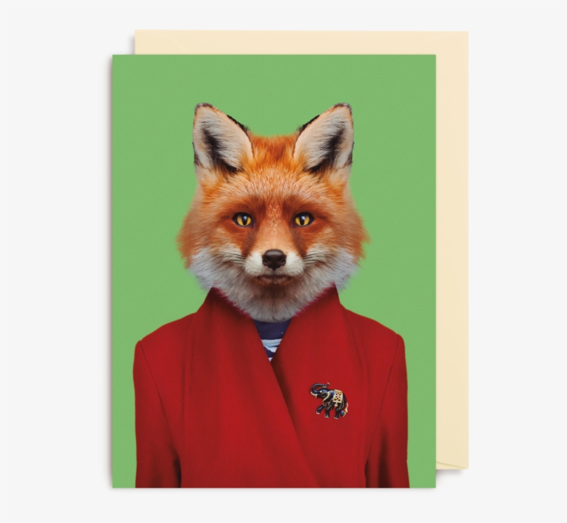 Red Fox, transparent png
