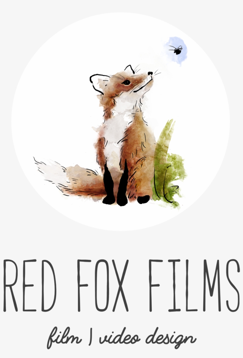 Red Fox Png, transparent png