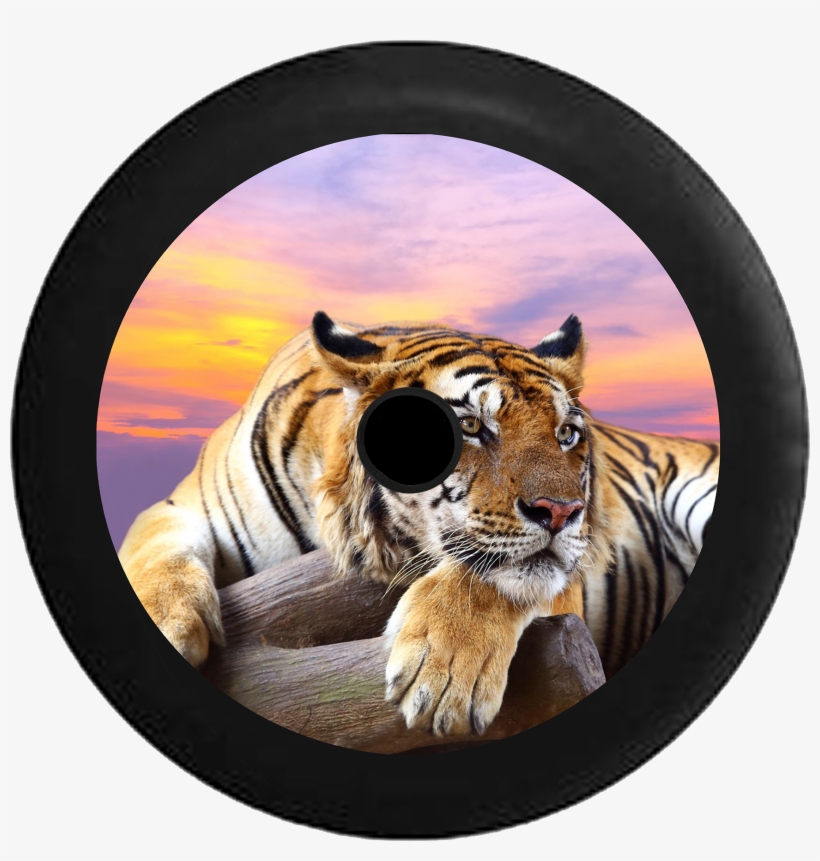 Jeep Wrangler Jl Backup Camera Lion Jungle Cat Sunset - Live Wallpaper Of Animals, transparent png