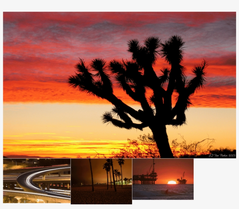 Car Atlas - Joshua Tree Sunset, transparent png