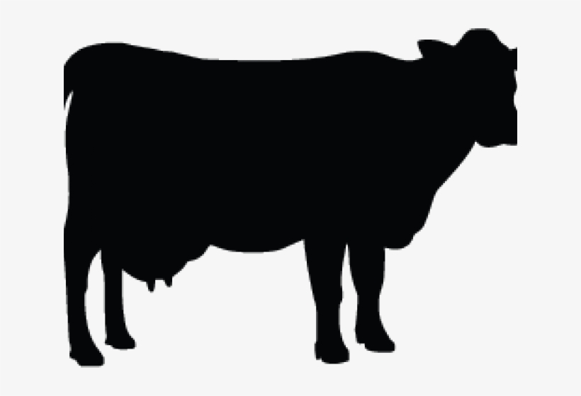 Cow Clipart, transparent png