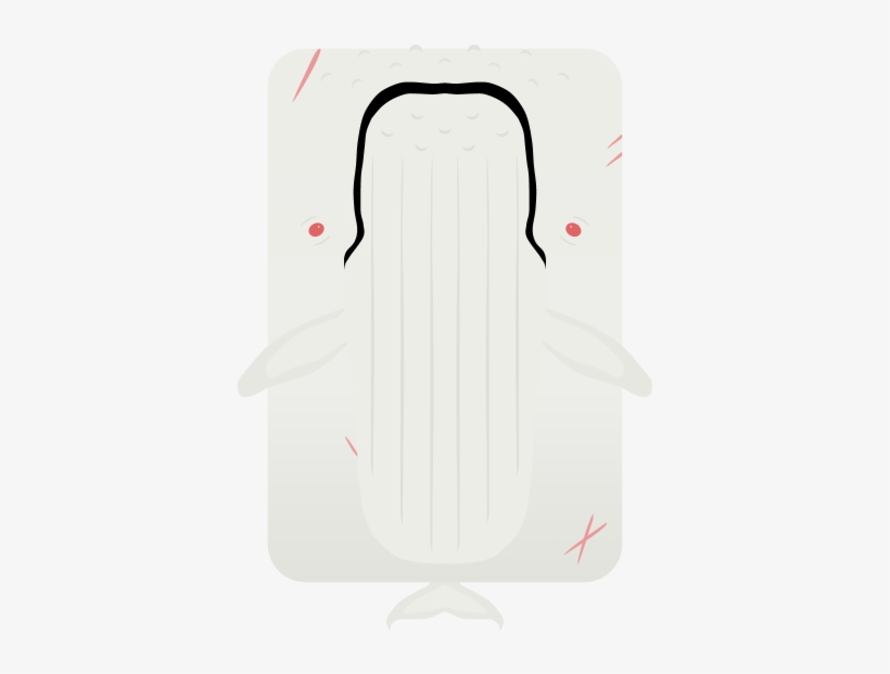 Skinmigaloo, The Albino Humpback Whale - Illustration, transparent png
