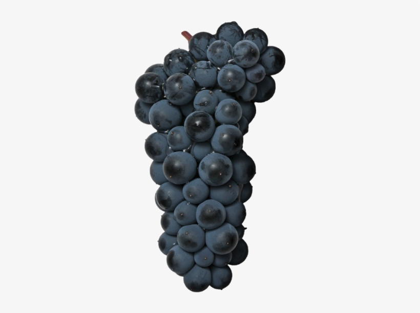 Black Grape - Seedless Fruit, transparent png