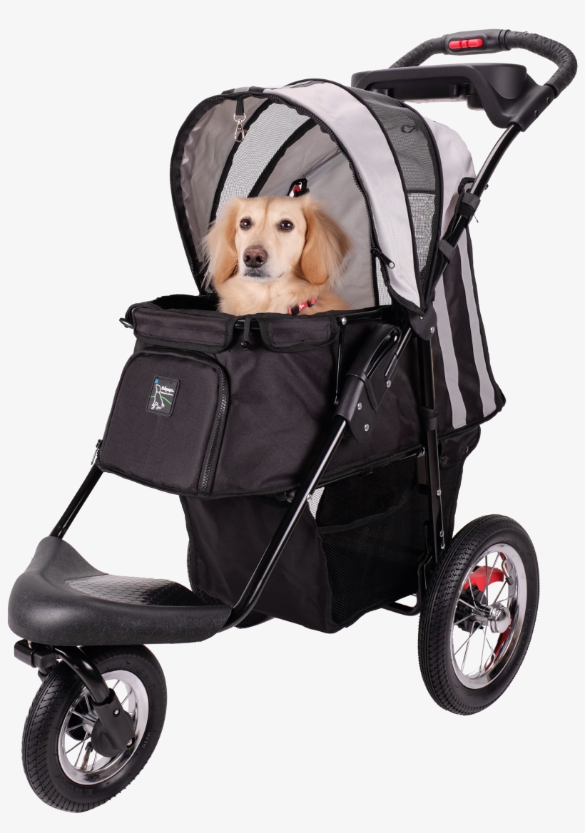 Dog Stroller - Dog Stroller Transparent, transparent png