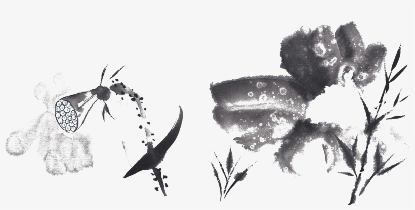 1272 X 754 10 - 国画 水墨 荷花, transparent png