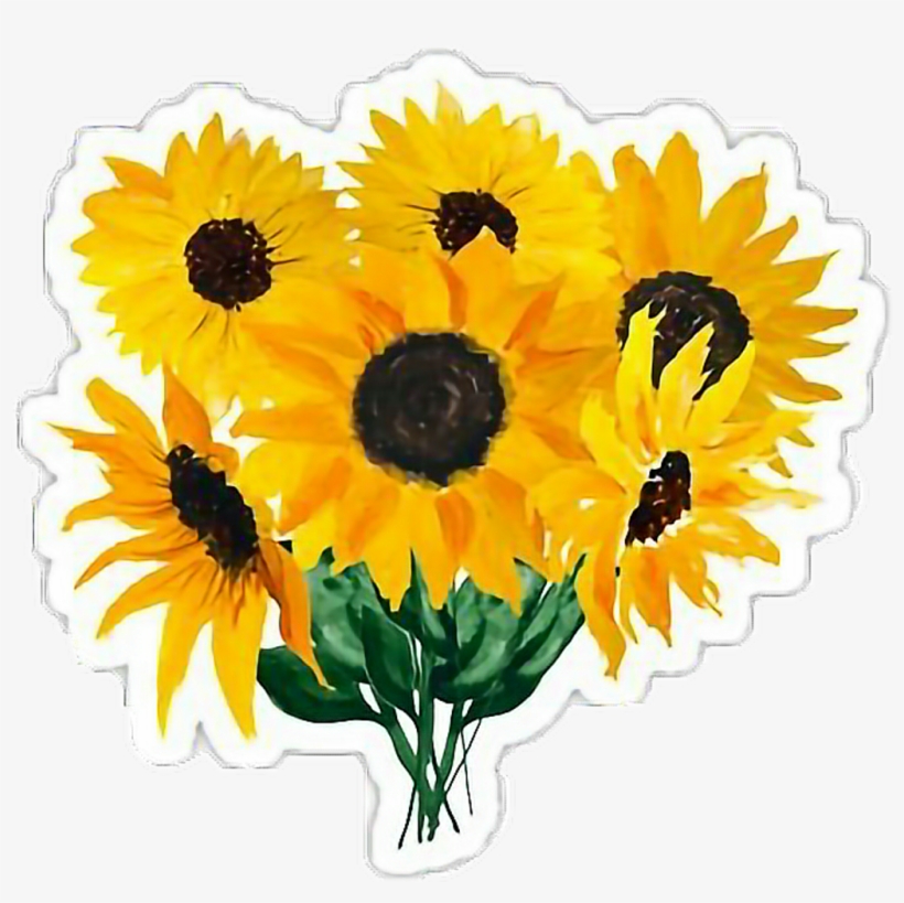 Girasoles Sticker - Sunflowers Sticker - 1024x973 PNG Download - PNGkit