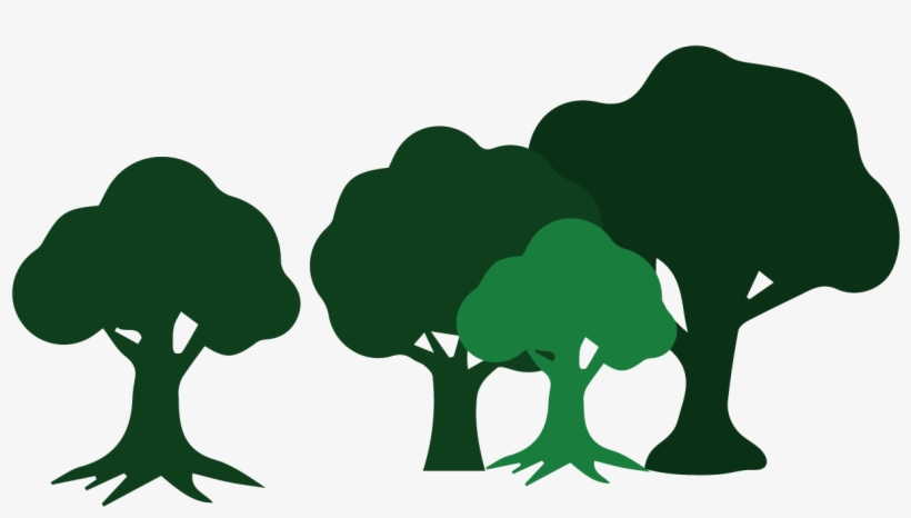 Wildcat Creek Tree Services Has The Skills To Assist - Illustration, transparent png