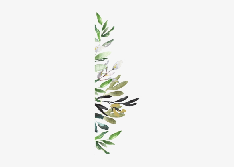 Florals Left - Illustration, transparent png