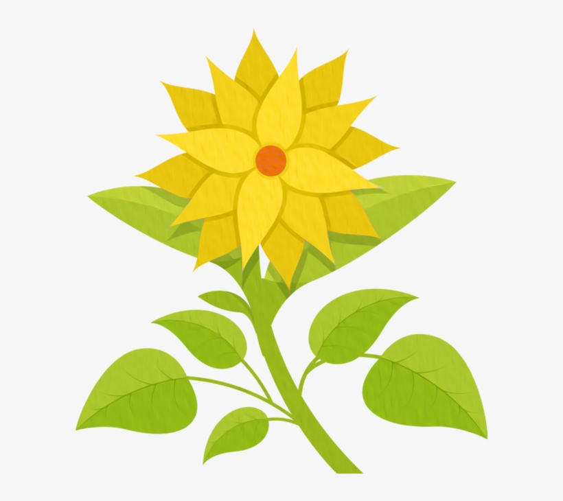 Flower, transparent png