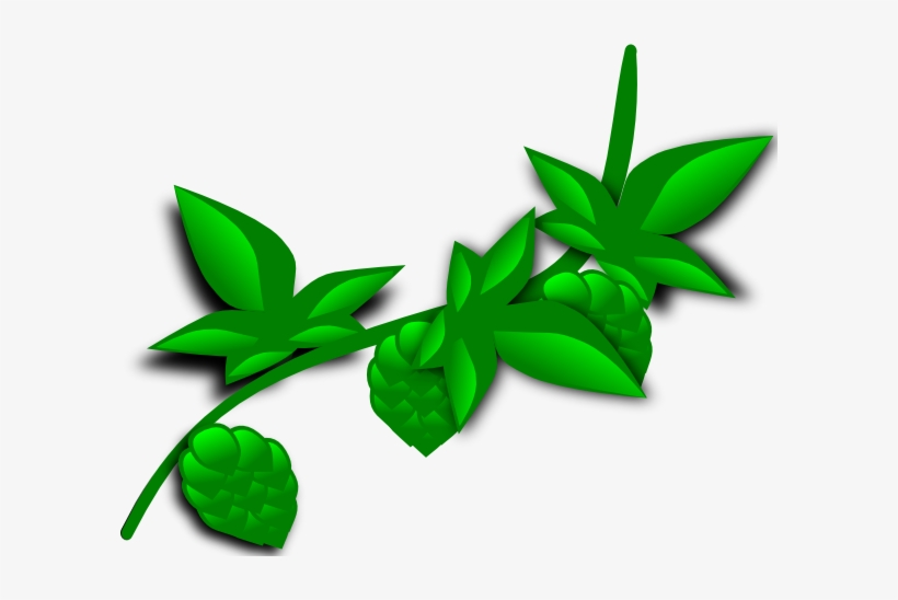 Clipart Transparent Stock Hops Plant Clip Art At Clker - Plant Clip Art, transparent png