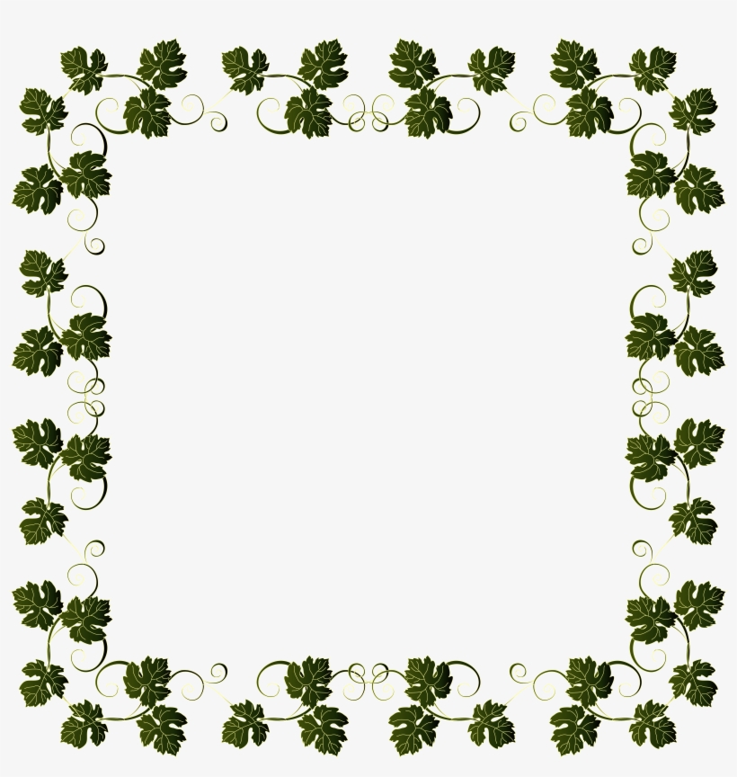 Vine Border Png, transparent png