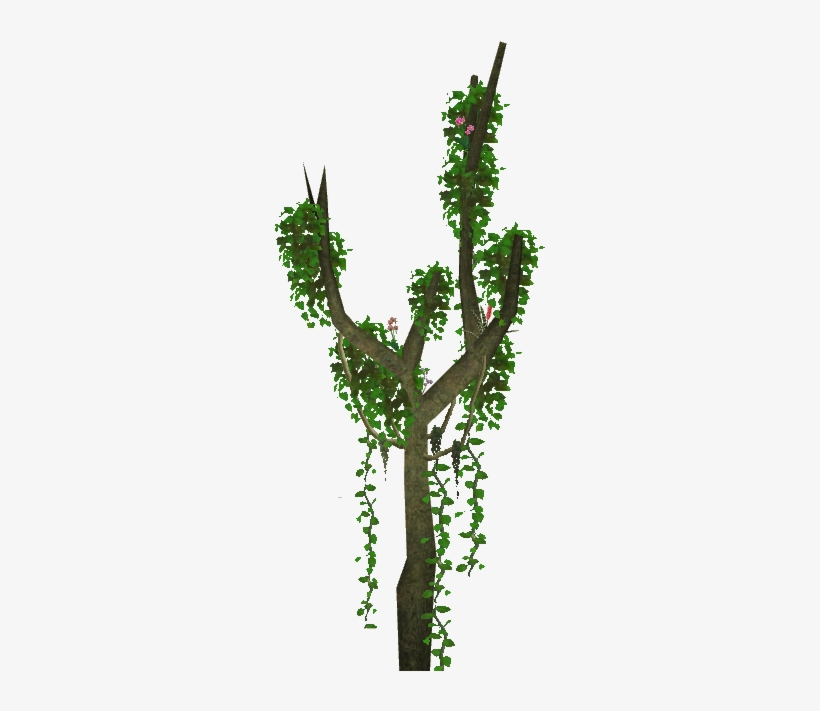 Free Jungle Vines Png - Transparent Png Jungle Plant, transparent png