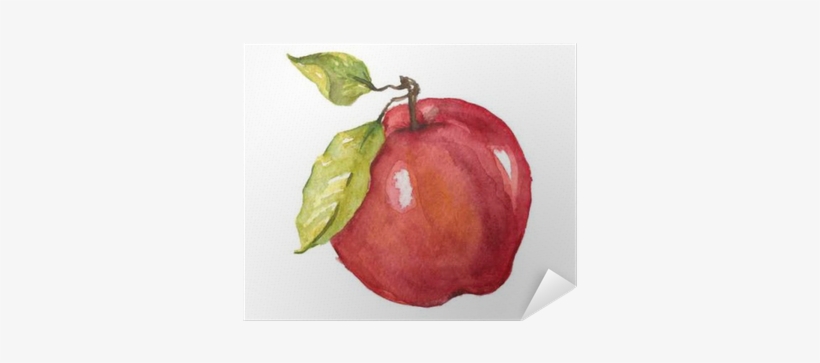 Apple Fruit Drawing Watercolor, transparent png