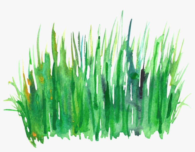 Green Grass Cluster Transparent Decorative - Green Watercolor Grass, transparent png