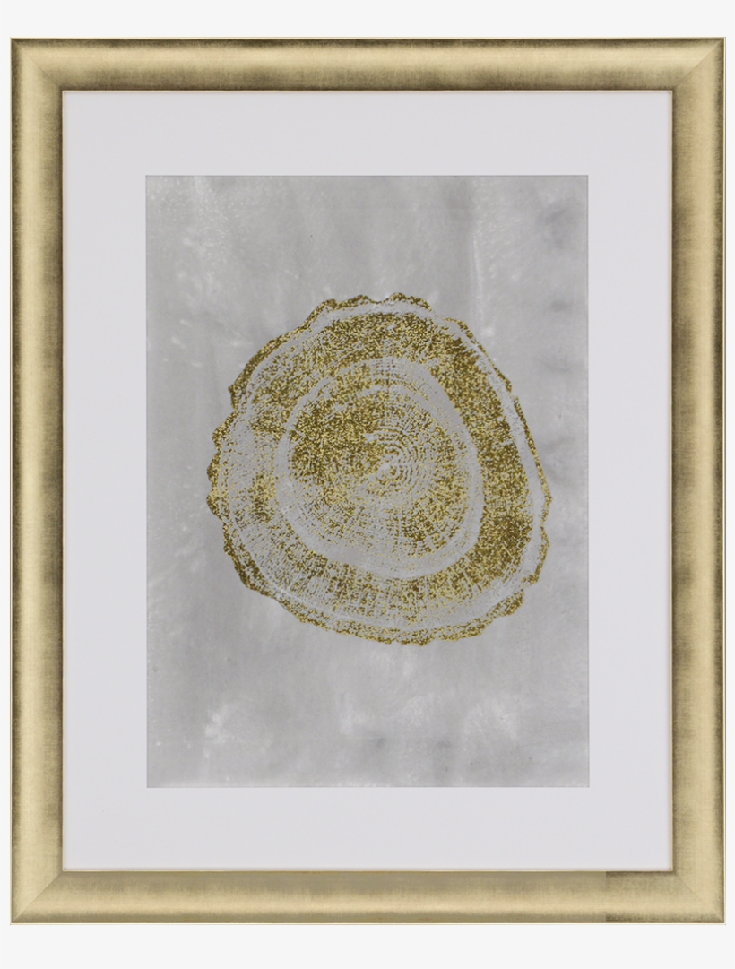 View Larger Image - Paragon Tree Ring Iii By Vision Studio Framed Graphic, transparent png