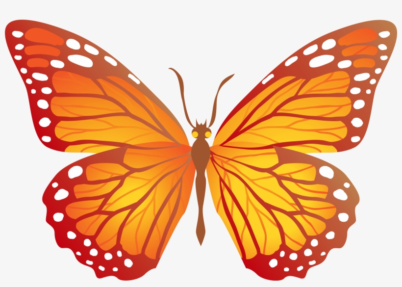 Butterflies Yellow And Orange, transparent png