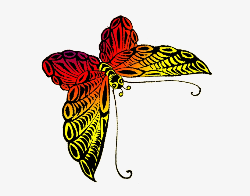 Black Orange Yellow Butterfly - Red And Yellow Butterfly, transparent png