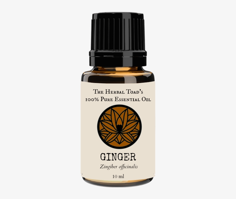 Sing Ginger, transparent png