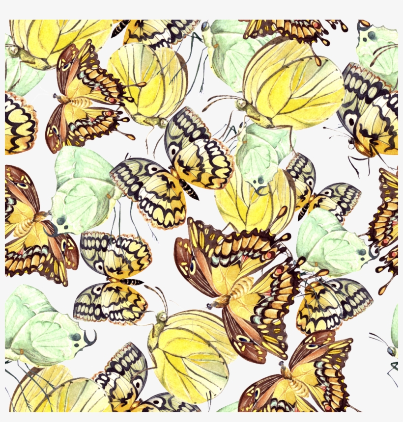 Hand Painted Yellow Butterfly Background Png Transparent - Illustration, transparent png