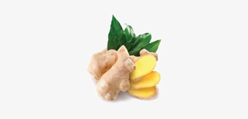 Ginger Png Photo - Amoretti Ginger Extract Oil Soluble - 8 Lbs, transparent png