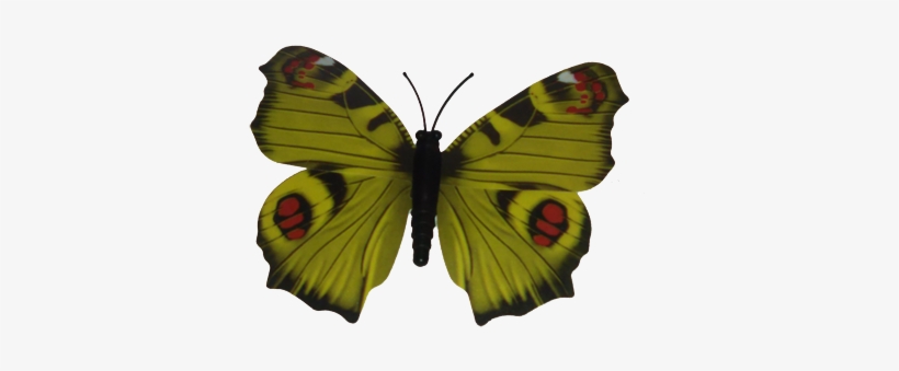 1yellow Butterfly - Southern Dogface, transparent png