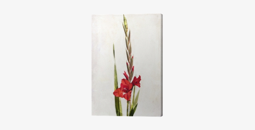 Gladiola Tattoos, transparent png