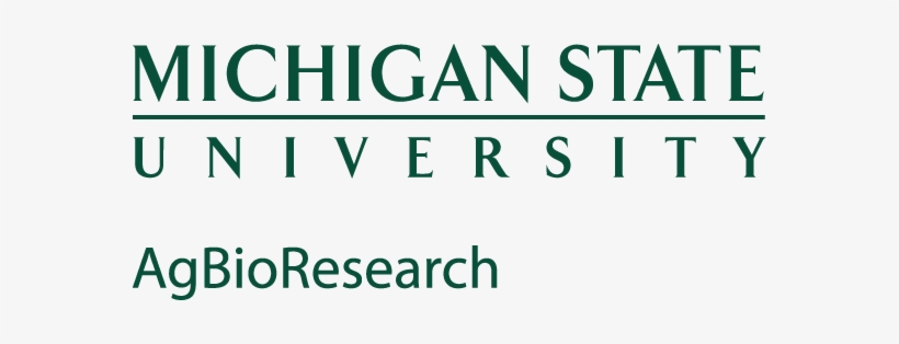 Green Logo - Michigan State Logo No Background, transparent png