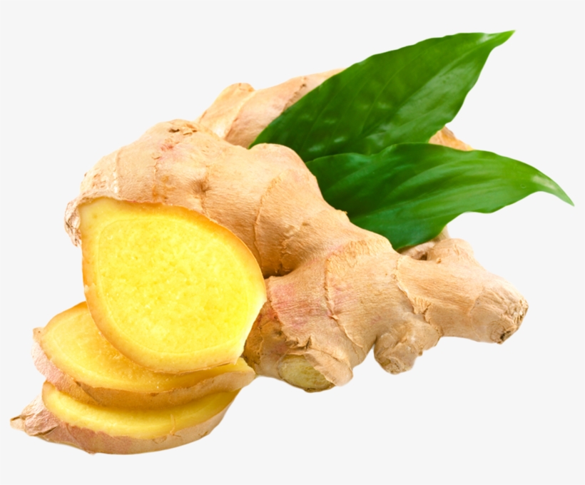 Ginger - Ginger Psd, transparent png