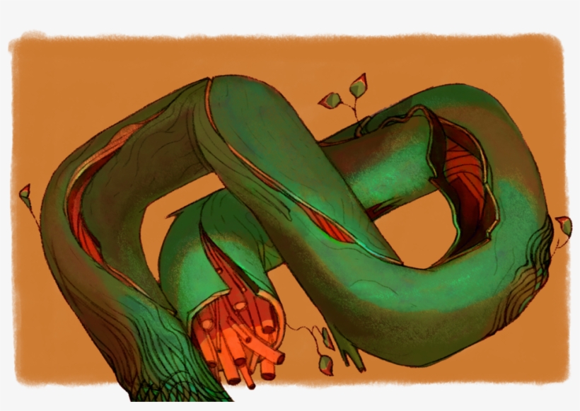 Trees, transparent png