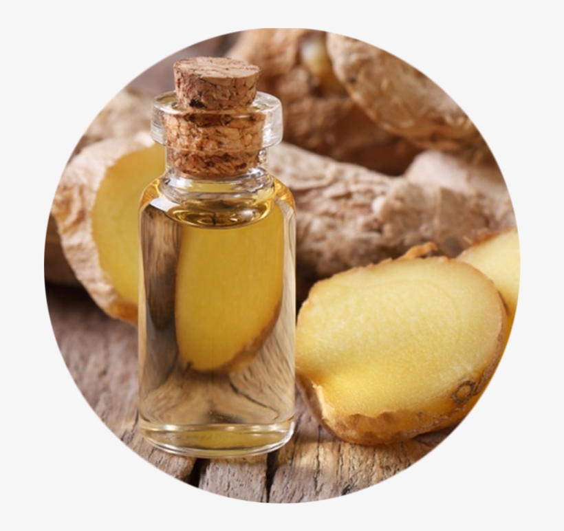 Ginger Oil - Ginger Essential Oil, transparent png