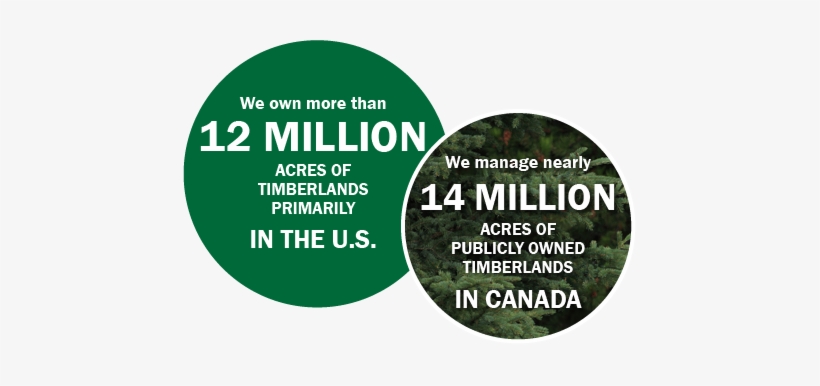 Sustainable Forest Management - Tree, transparent png