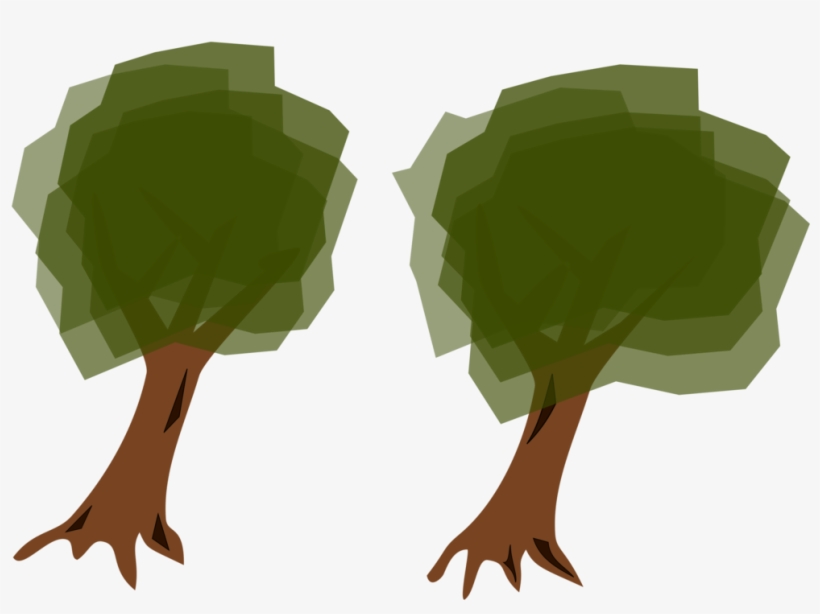 Tree Spruce Forest Eastern White Pine Shrub - Tree, transparent png