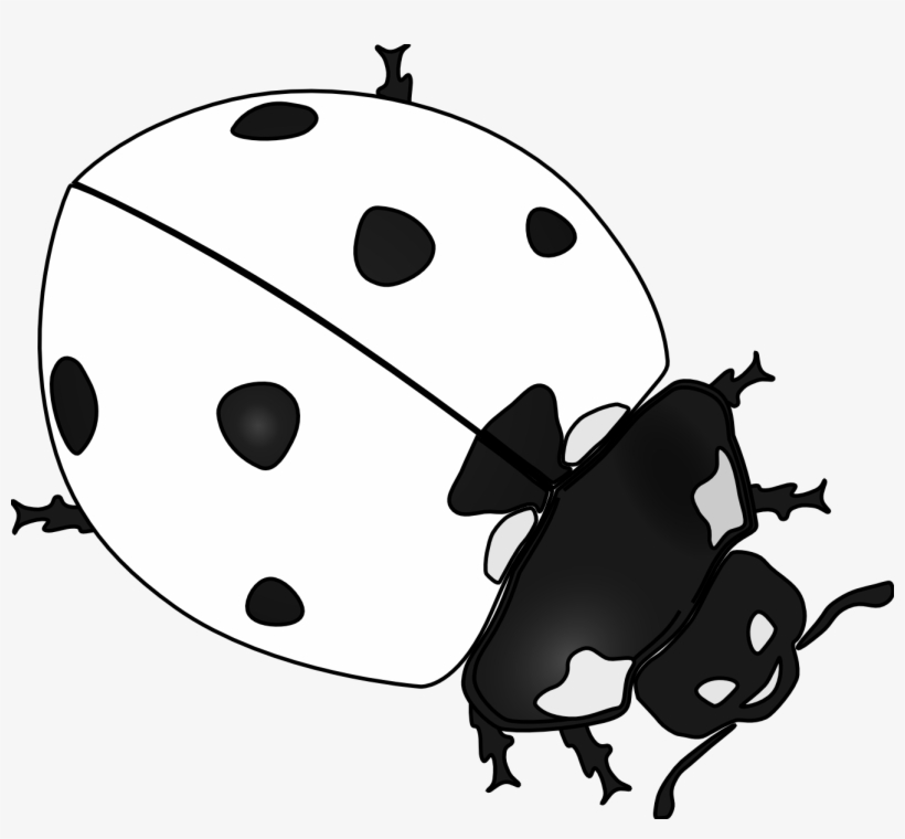 Ladybird Beetle Drawing Clip Art - Ladybug Symbol Black And White, transparent png