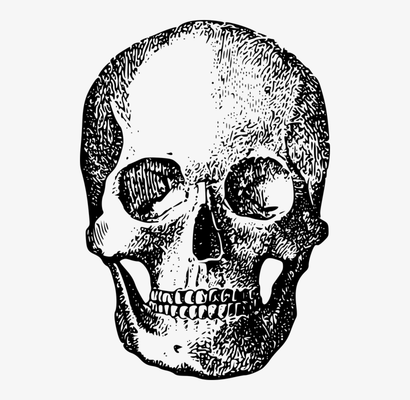 Black Skull Ftestickers - Gillian Clarke Lunchtime Lecture, transparent png