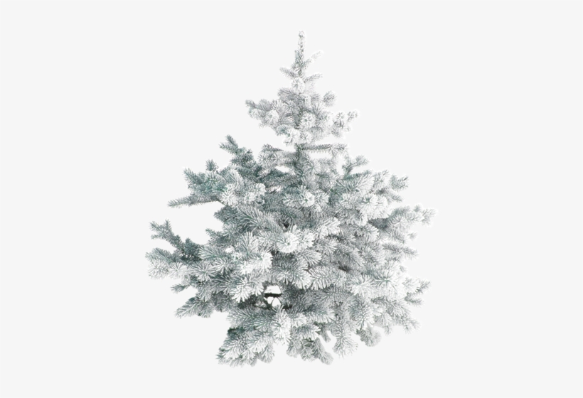Похожее Изображение - Snowdrop Die Maltesische Weihnachtskarte Karte, transparent png