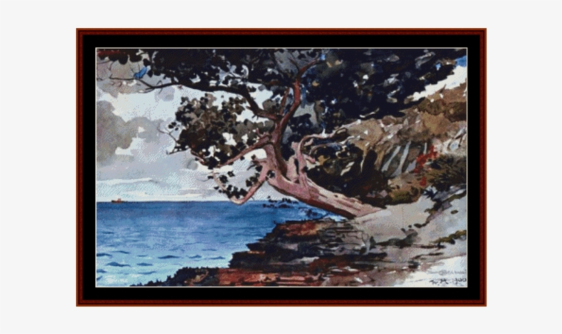 North Road, Bermuda - Winslow Homer - North Road, Bermuda Throw Blanket, transparent png