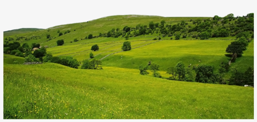 Green Nature Png File -use Freely By Theartist100 On - Temperate Grasslands In Europe, transparent png