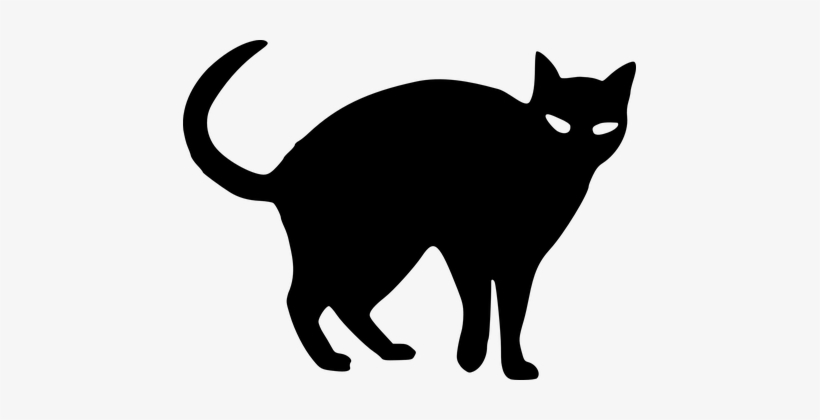 Halloween Cat Black Spooky Angry Tail Pet - Black Cat For Halloween, transparent png