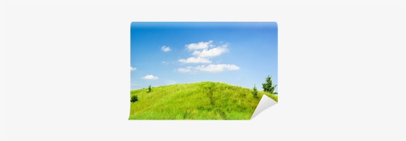 Stock Photography, transparent png