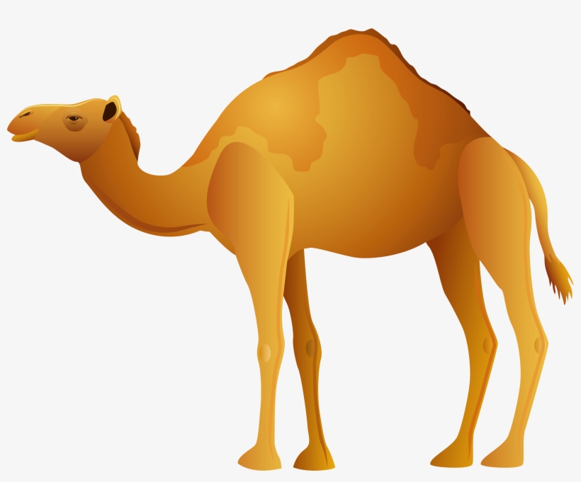Camel Png Clip Art, transparent png